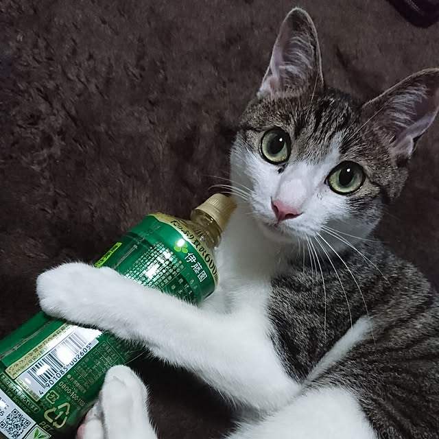 kiraさんの実例写真