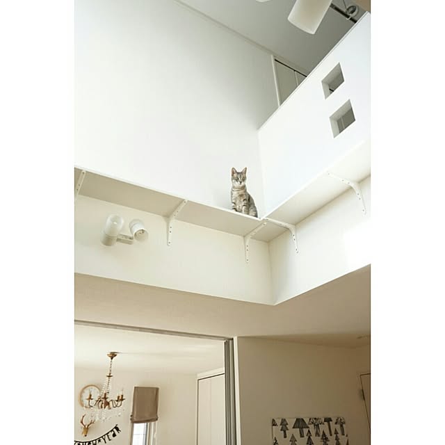 arutotoさんの実例写真
