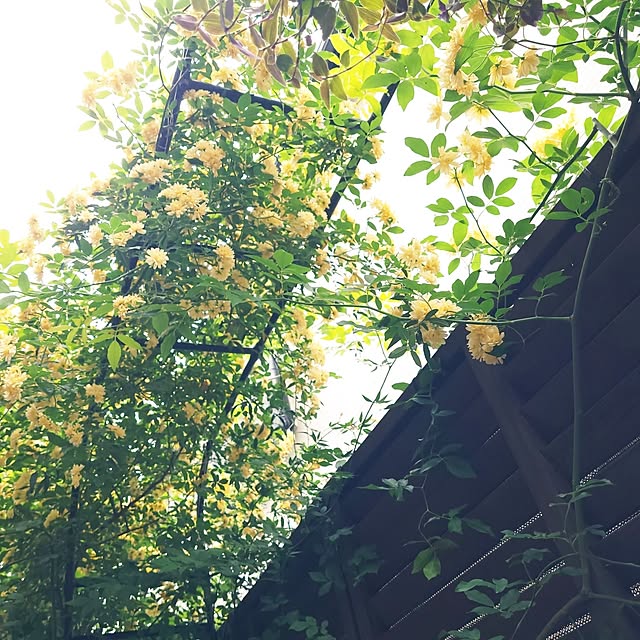 mimi828さんの部屋