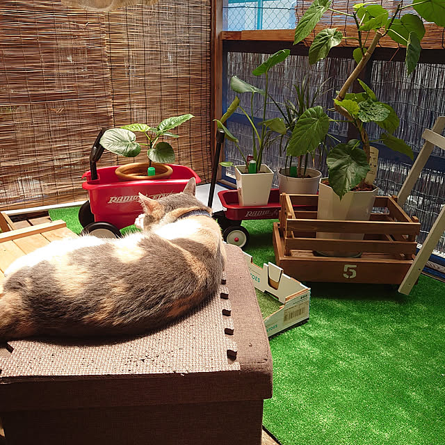 fukuさんの実例写真