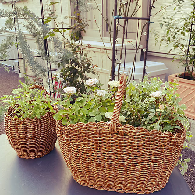 sariさんの部屋