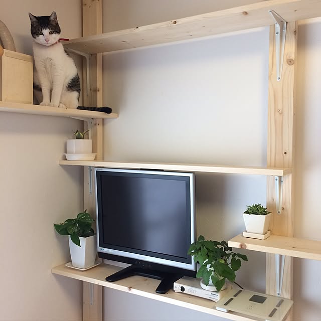 kazeさんの実例写真