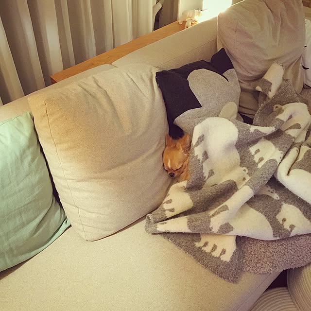 haruhinaさんの実例写真