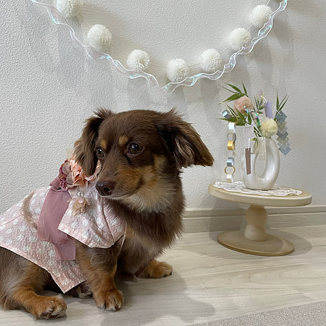 emiさんの実例写真