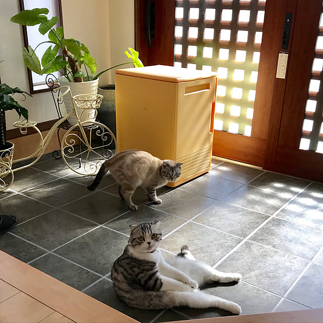 Dahliaさんの実例写真