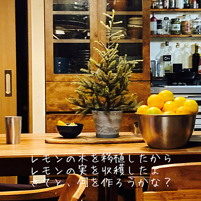ayuさんの実例写真