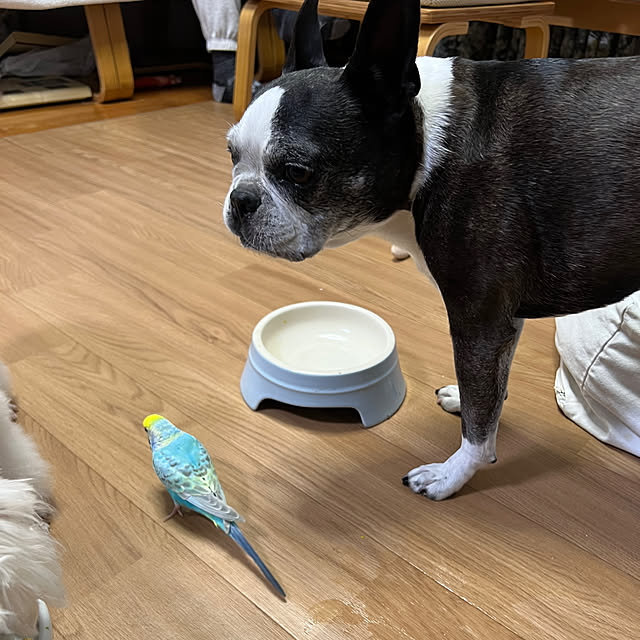 kurumeruさんの部屋