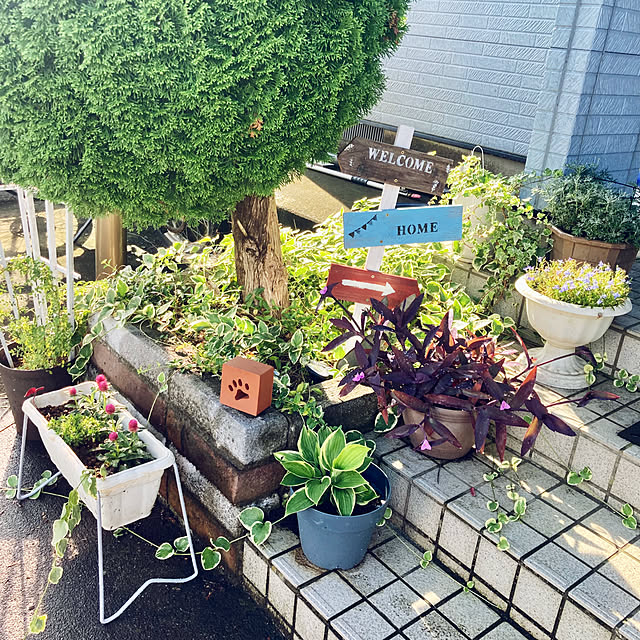 CoCo0617さんの部屋