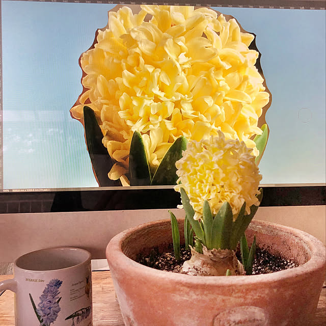 weさんの実例写真