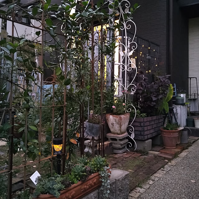 Leonさんの実例写真
