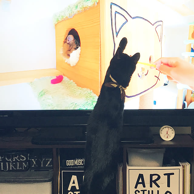 minmiさんの実例写真