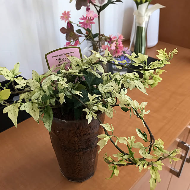 yoneさんの実例写真
