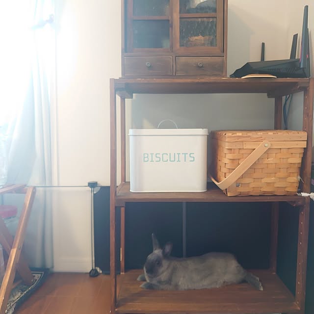 kirariさんの部屋