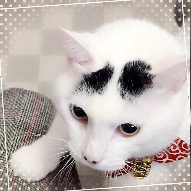 miさんの実例写真