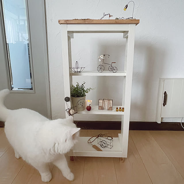 kotoriさんの部屋