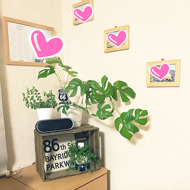 実例写真