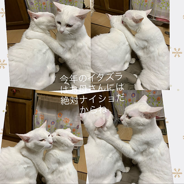 kuntaさんの実例写真