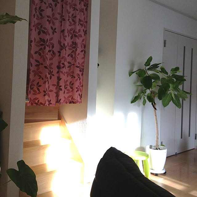 dicekbeetleさんの実例写真
