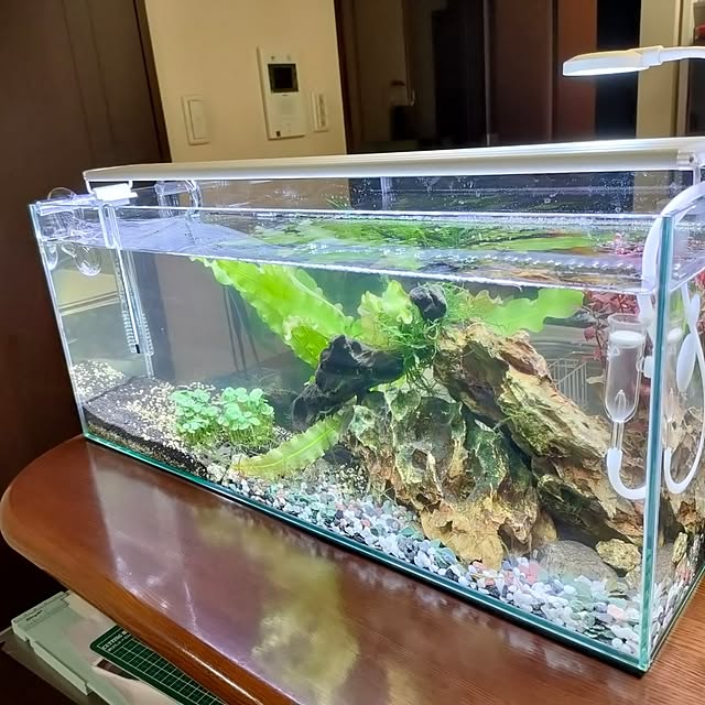 taitaiさんの実例写真