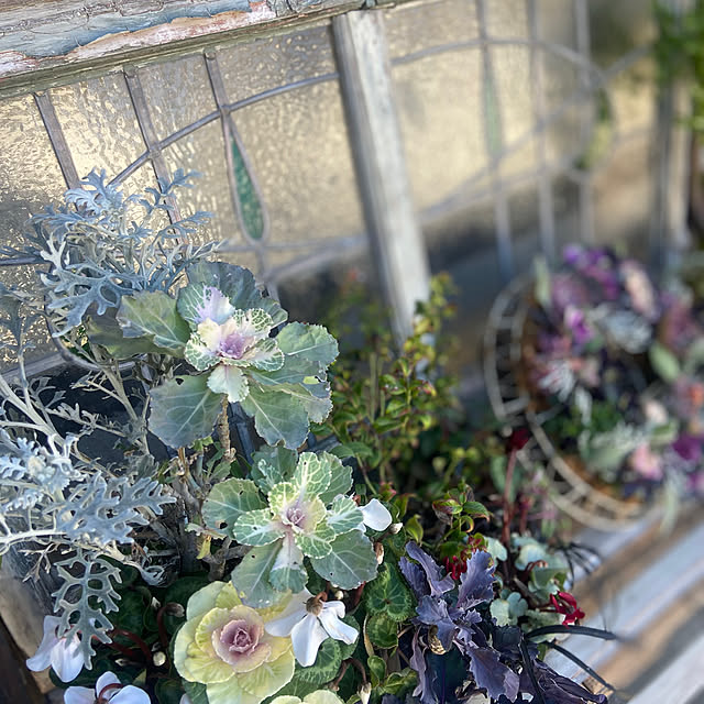 na-chanさんの部屋