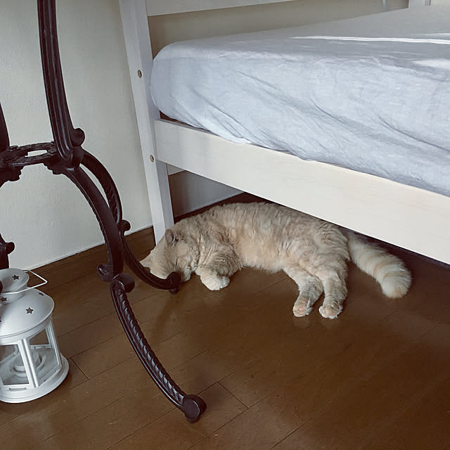 naokoさんの実例写真