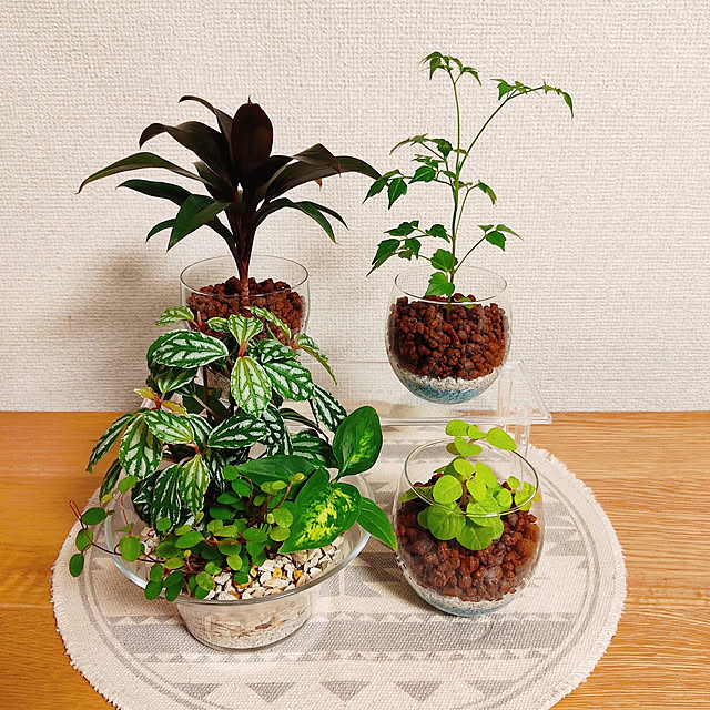 sachiさんの実例写真