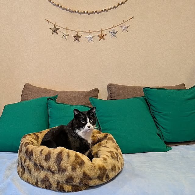 Mayumi8888さんの実例写真