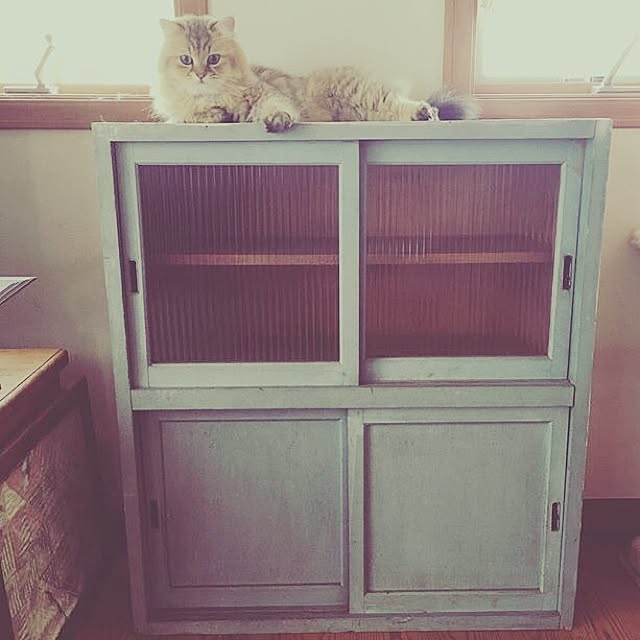 teddyさんの実例写真