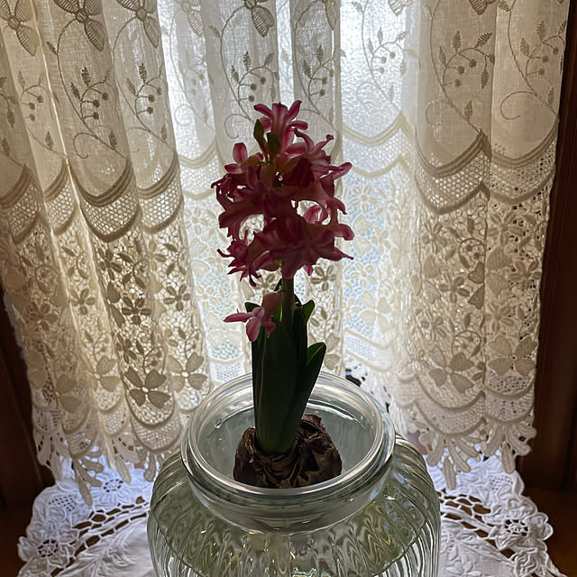 mamizaさんの実例写真