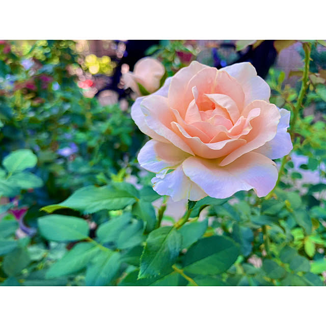 tinkunさんの部屋