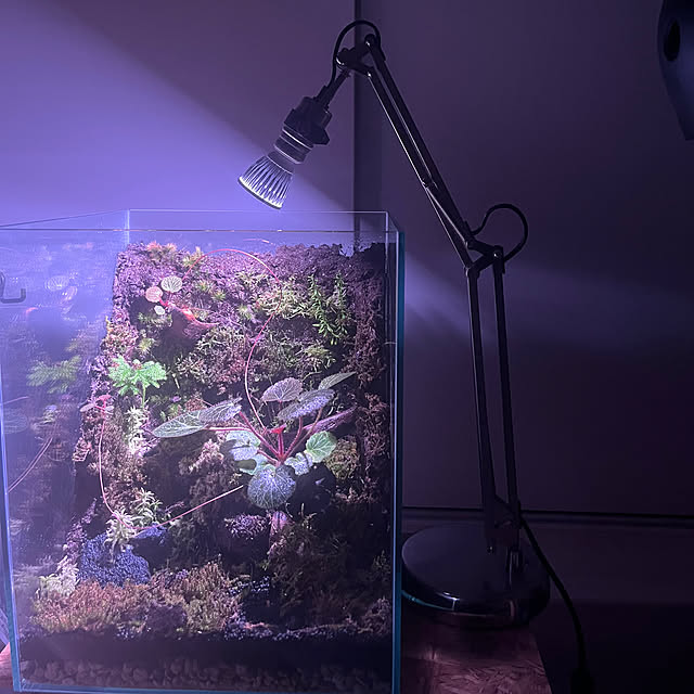 riakanaさんの実例写真