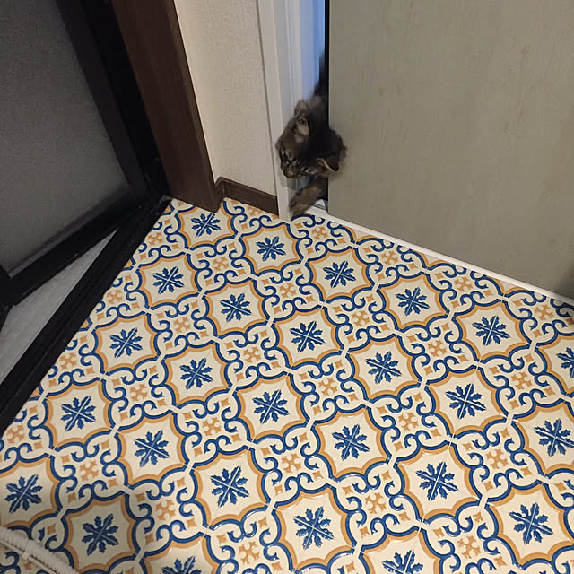 oniyomeさんの実例写真