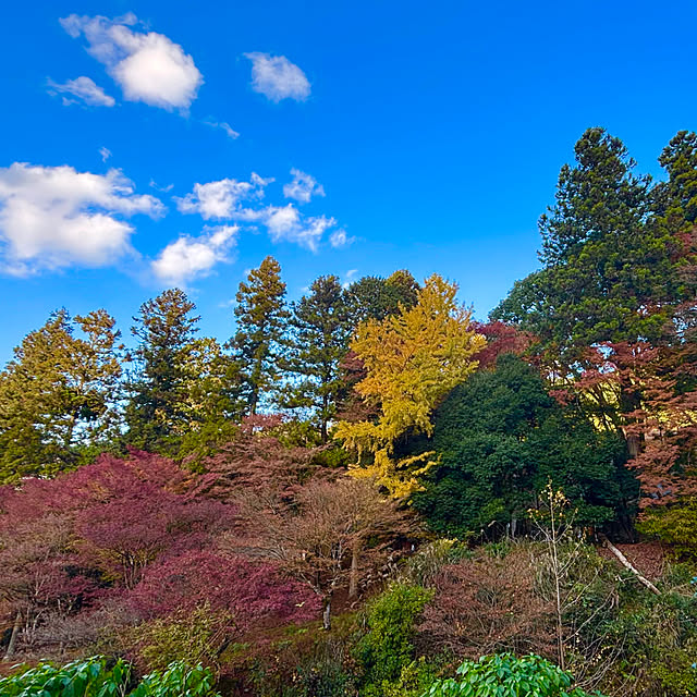 tututu0204さんの部屋