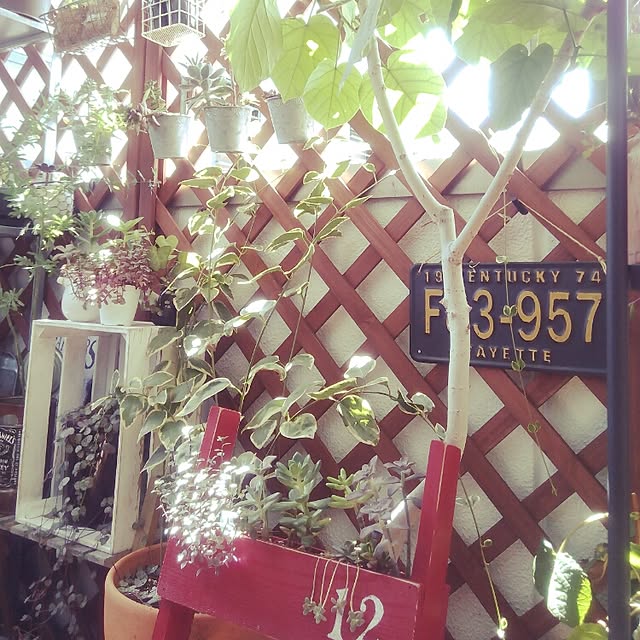 VERANDARJUNさんの実例写真