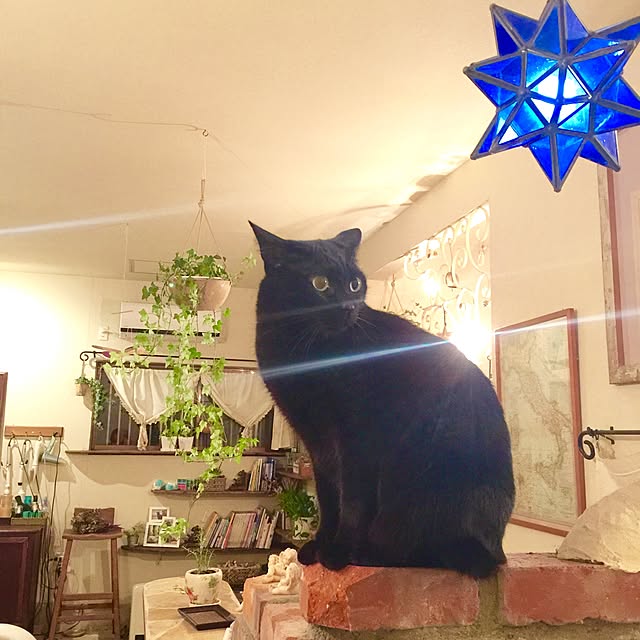 rosemaryさんの実例写真