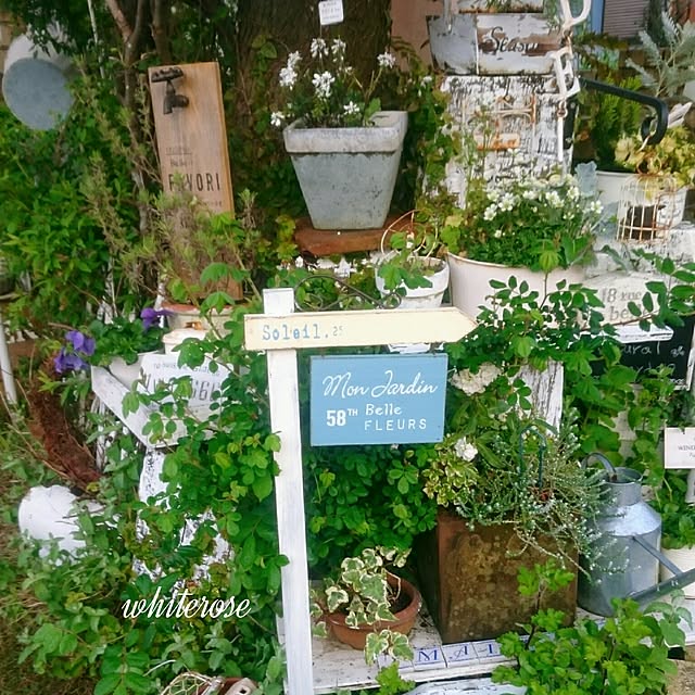 whiteroseさんの実例写真
