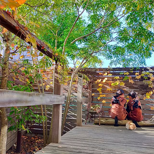 petitesplumesさんの部屋