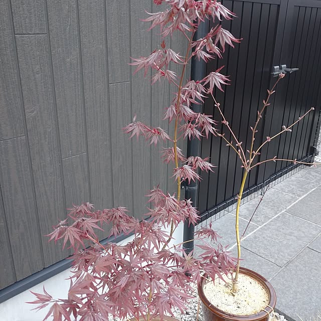 5160ksさんの部屋