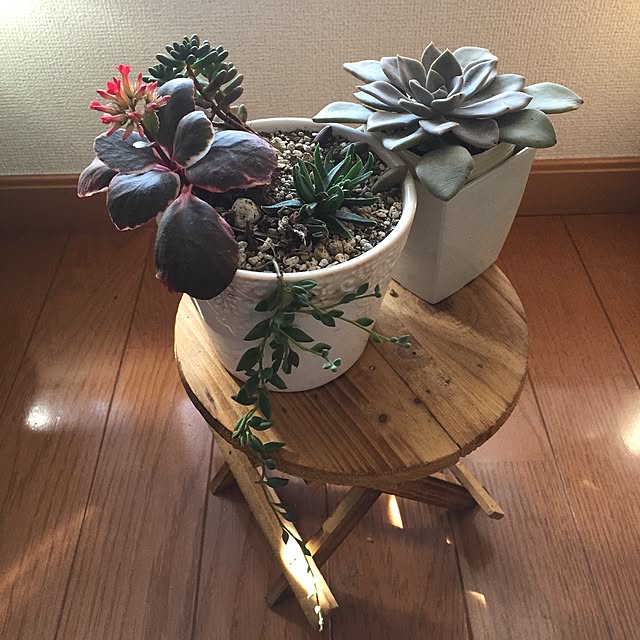 EMIKOさんの実例写真