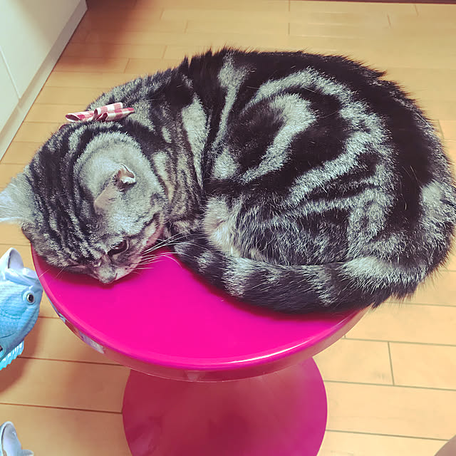 jukai8153さんの実例写真