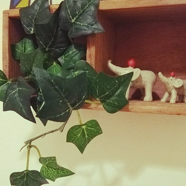 akiさんの実例写真