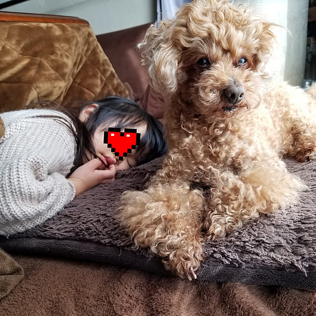 midoriさんの実例写真
