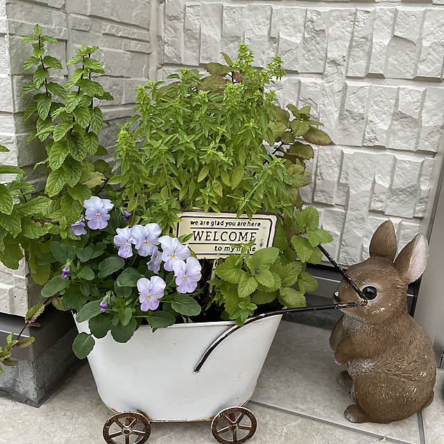maple.little.houseさんの実例写真