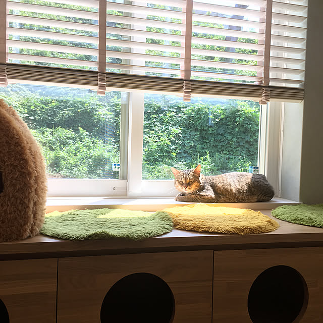 nyancohomeさんの実例写真
