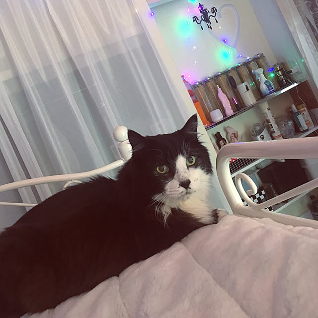 kanaさんの実例写真