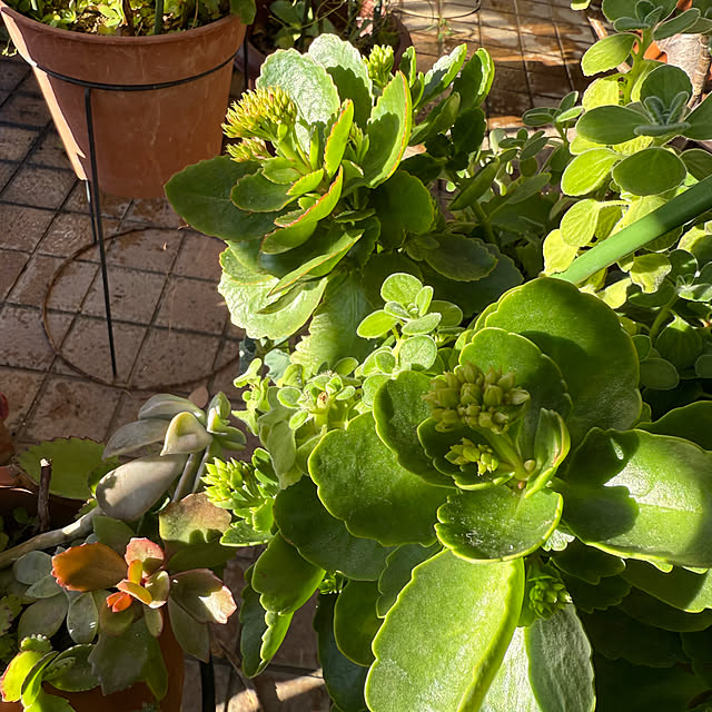 Aqettyさんの部屋