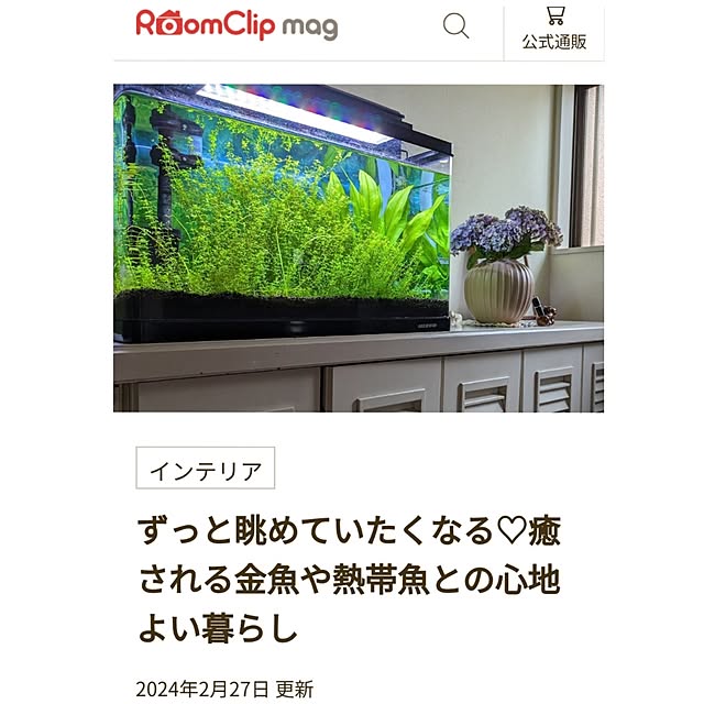 Renさんの実例写真