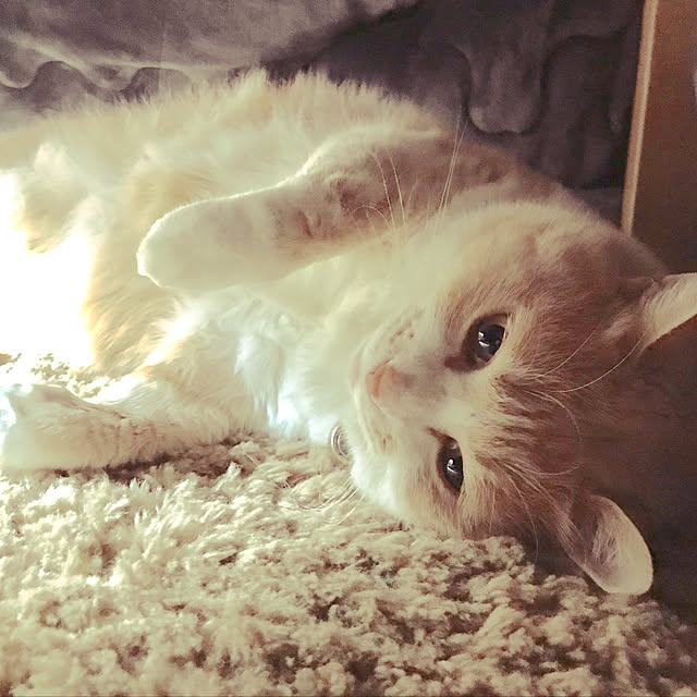 BUNさんの実例写真