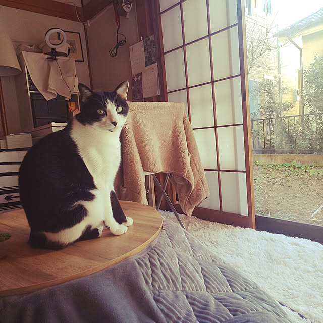 oseroさんの実例写真