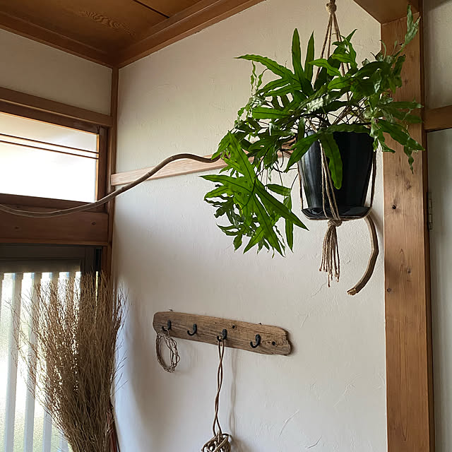 maluさんの実例写真